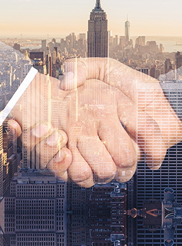 BB贝博登录教程