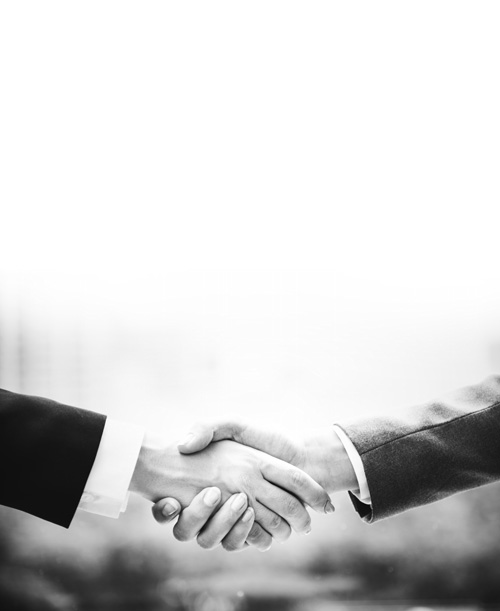 贝博bb体育注册